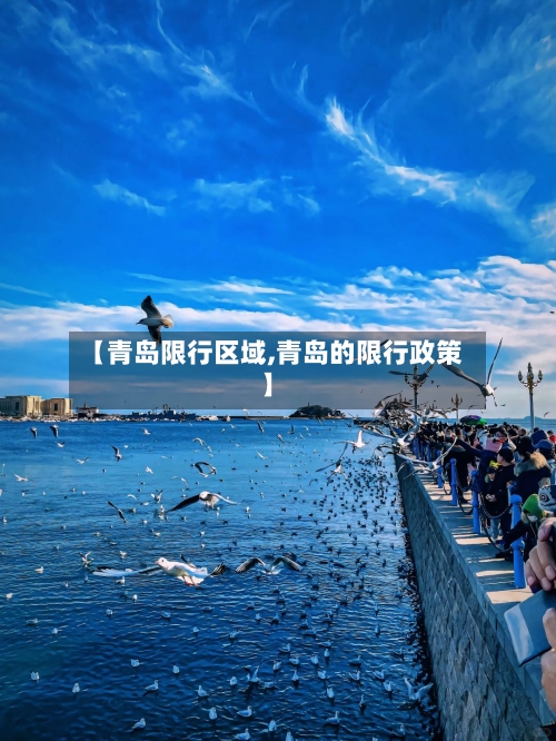 【青岛限行区域,青岛的限行政策】