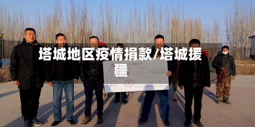 塔城地区疫情捐款/塔城援疆