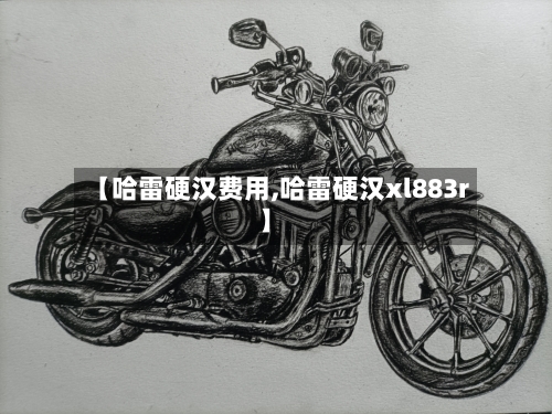 【哈雷硬汉费用,哈雷硬汉xl883r】-第2张图片
