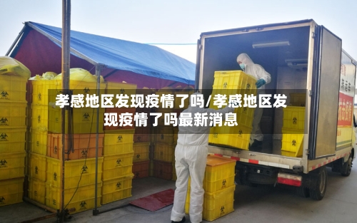 孝感地区发现疫情了吗/孝感地区发现疫情了吗最新消息-第2张图片