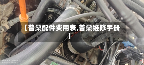 【普桑配件费用表,普桑维修手册】