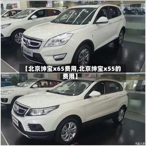 【北京绅宝x65费用,北京绅宝x55的费用】-第3张图片