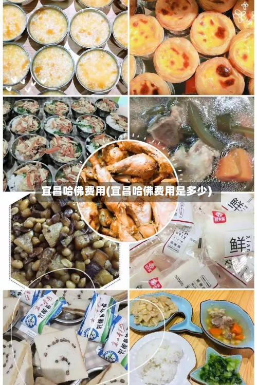 宜昌哈佛费用(宜昌哈佛费用是多少)-第2张图片