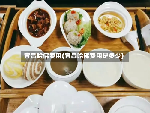 宜昌哈佛费用(宜昌哈佛费用是多少)