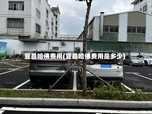 宜昌哈佛费用(宜昌哈佛费用是多少)-第3张图片