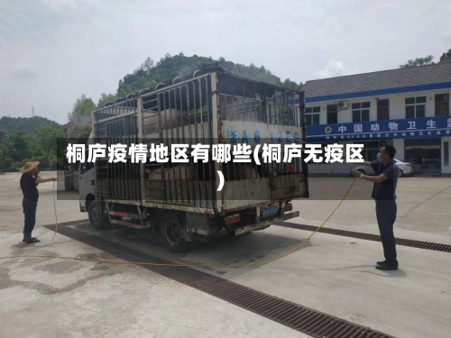 桐庐疫情地区有哪些(桐庐无疫区)-第3张图片
