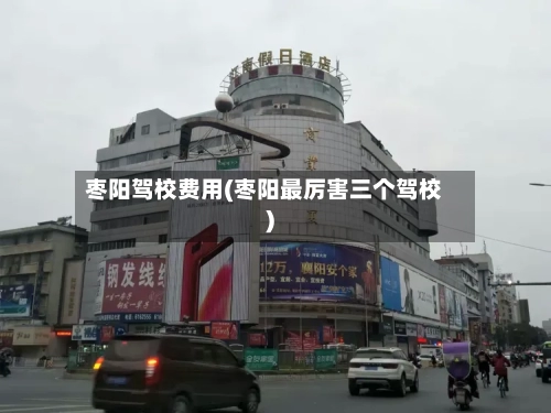 枣阳驾校费用(枣阳最厉害三个驾校)