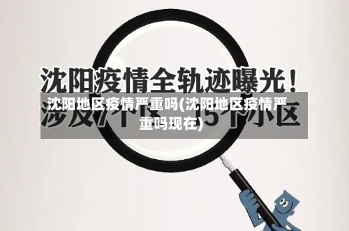沈阳地区疫情严重吗(沈阳地区疫情严重吗现在)-第3张图片