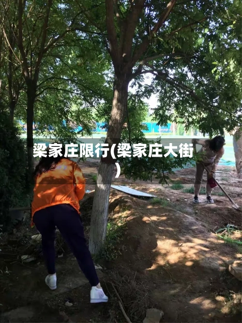 梁家庄限行(梁家庄大街)
