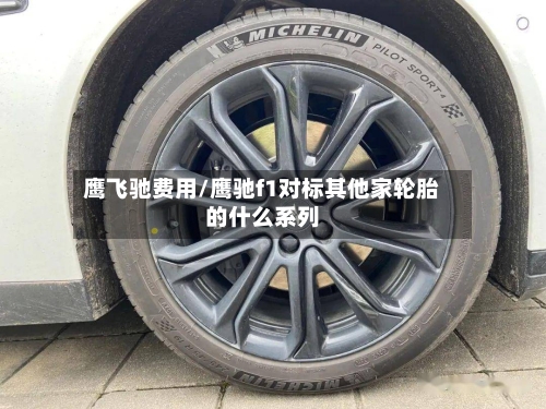 鹰飞驰费用/鹰驰f1对标其他家轮胎的什么系列