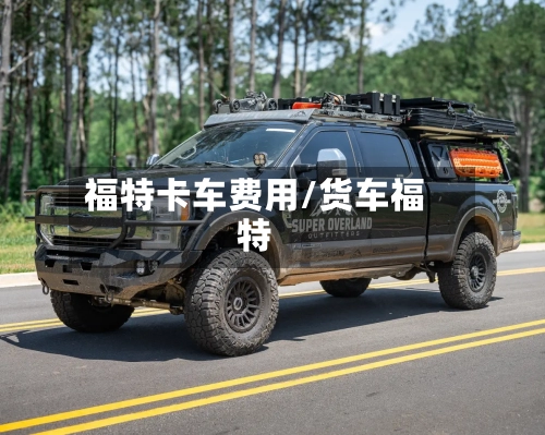 福特卡车费用/货车福特-第2张图片