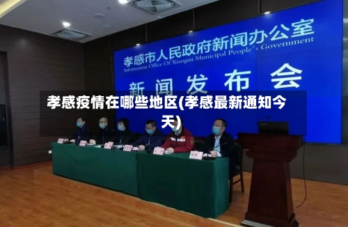 孝感疫情在哪些地区(孝感最新通知今天)-第2张图片