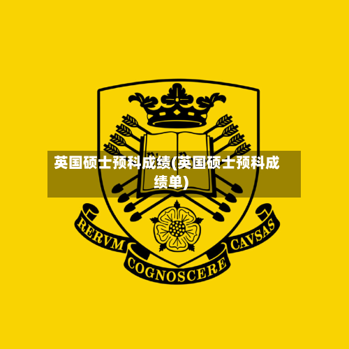 英国硕士预科成绩(英国硕士预科成绩单)