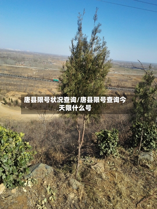 唐县限号状况查询/唐县限号查询今天限什么号