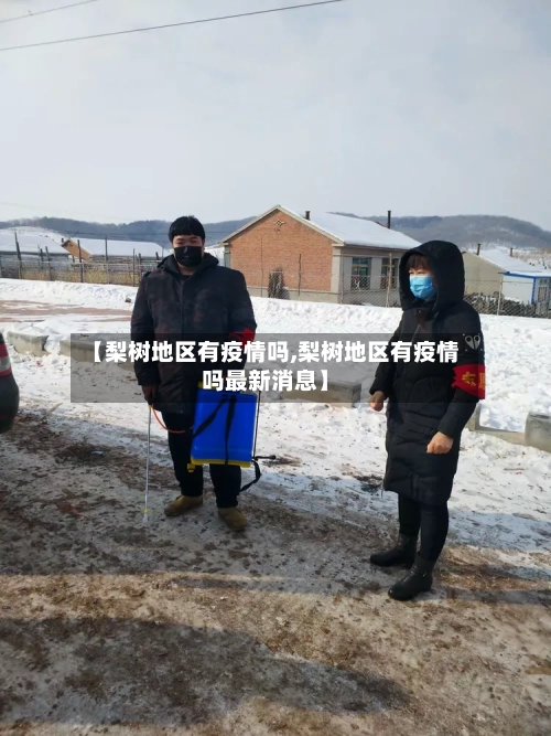 【梨树地区有疫情吗,梨树地区有疫情吗最新消息】-第3张图片