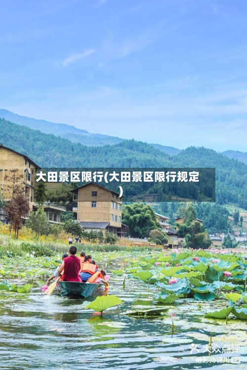 大田景区限行(大田景区限行规定)-第2张图片