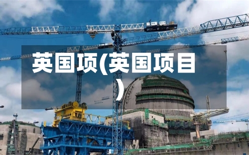 英国项(英国项目)-第2张图片