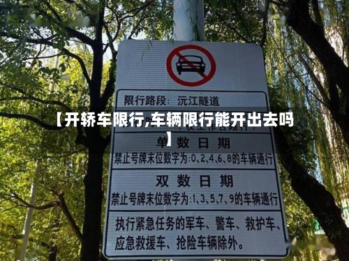 【开轿车限行,车辆限行能开出去吗】