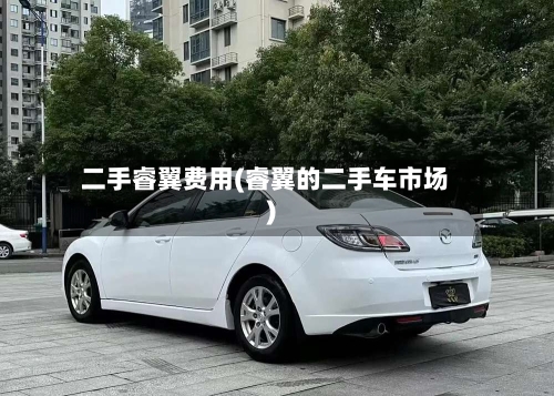 二手睿翼费用(睿翼的二手车市场)-第2张图片