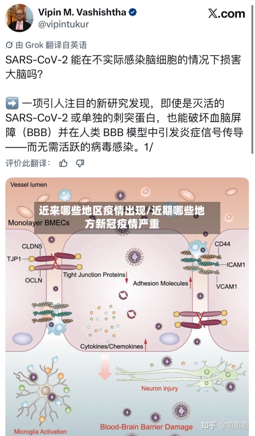 近来哪些地区疫情出现/近期哪些地方新冠疫情严重