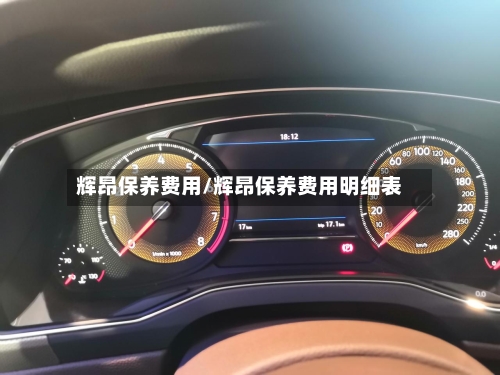 辉昂保养费用/辉昂保养费用明细表