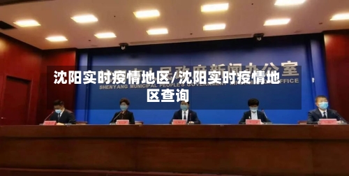 沈阳实时疫情地区/沈阳实时疫情地区查询-第2张图片