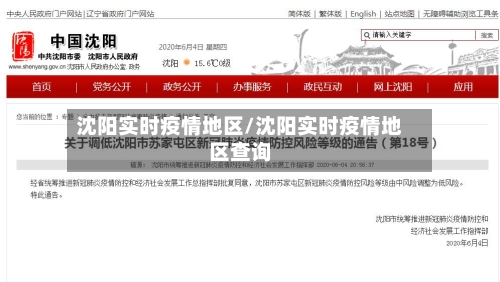 沈阳实时疫情地区/沈阳实时疫情地区查询-第3张图片