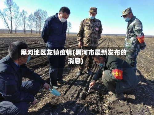 黑河地区龙镇疫情(黑河市最新发布的消息)-第2张图片
