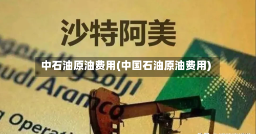 中石油原油费用(中国石油原油费用)-第3张图片
