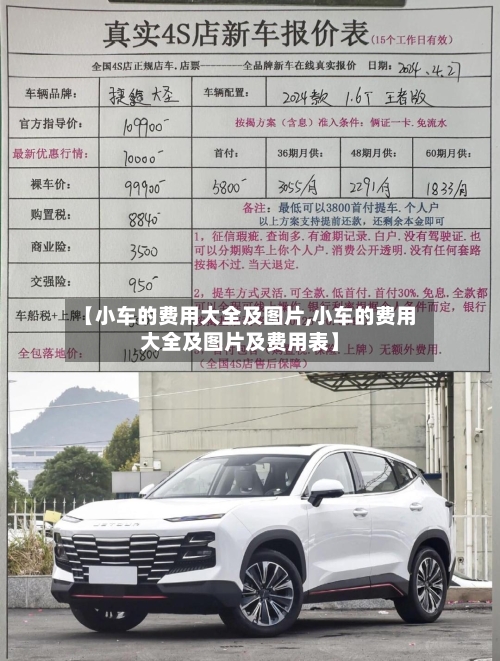 【小车的费用大全及图片,小车的费用大全及图片及费用表】-第3张图片