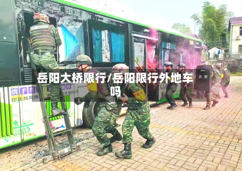 岳阳大桥限行/岳阳限行外地车吗
