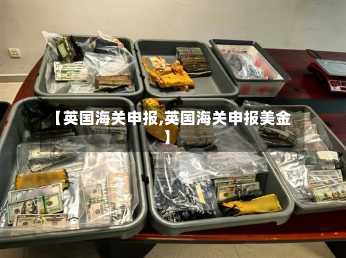 【英国海关申报,英国海关申报美金】-第2张图片