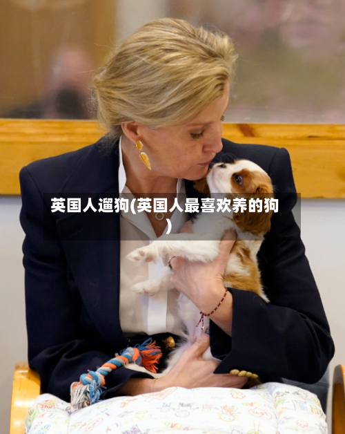 英国人遛狗(英国人最喜欢养的狗)-第3张图片