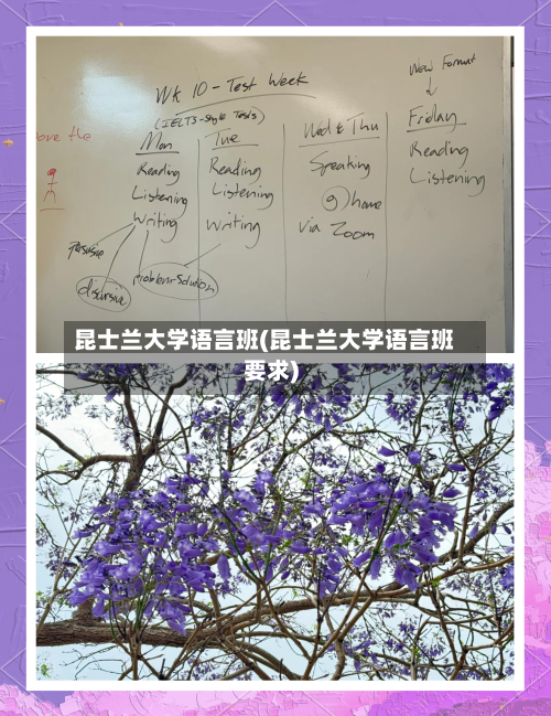 昆士兰大学语言班(昆士兰大学语言班要求)