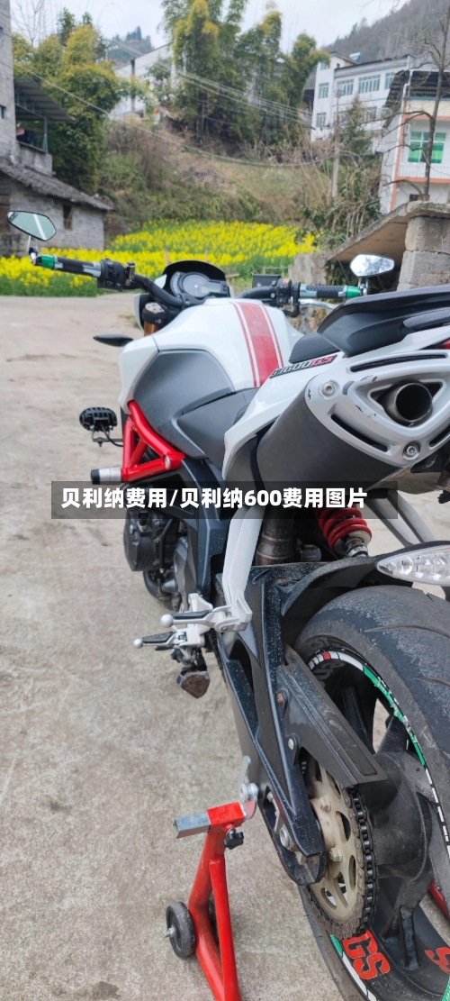 贝利纳费用/贝利纳600费用图片-第3张图片