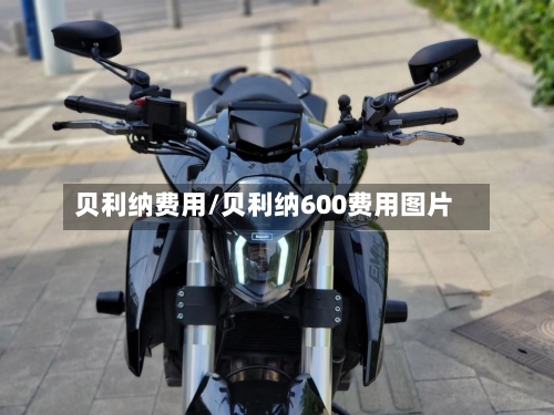 贝利纳费用/贝利纳600费用图片-第2张图片