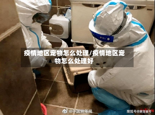 疫情地区宠物怎么处理/疫情地区宠物怎么处理好