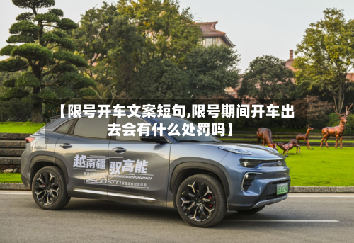 【限号开车文案短句,限号期间开车出去会有什么处罚吗】