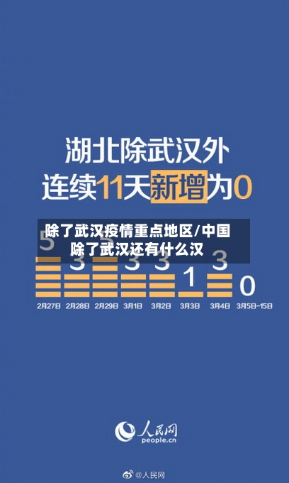 除了武汉疫情重点地区/中国除了武汉还有什么汉-第2张图片