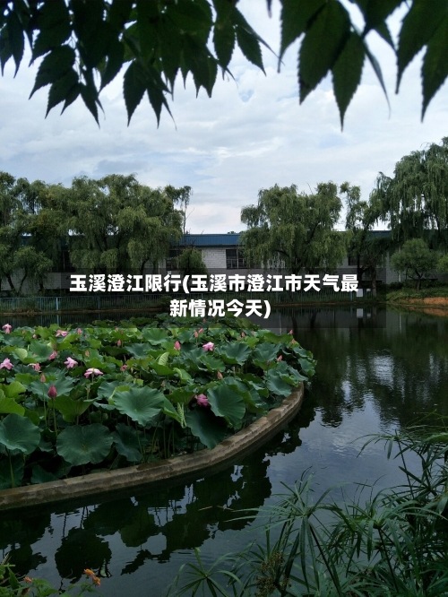 玉溪澄江限行(玉溪市澄江市天气最新情况今天)