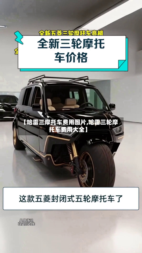 【哈雷三摩托车费用图片,哈雷三轮摩托车费用大全】-第2张图片