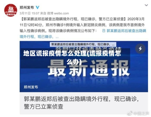 地区谎报疫情怎么处理(谎报疫情怎么办)