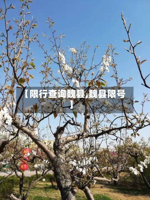 【限行查询魏县,魏县限号】-第2张图片
