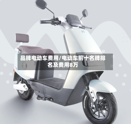 品牌电动车费用/电动车前十名牌排名及费用8万