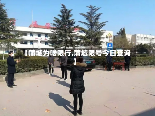 【蒲城为啥限行,蒲城限号今日查询】-第2张图片