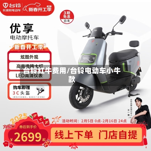 台铃红牛费用/台铃电动车小牛款
