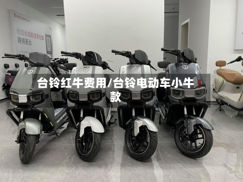 台铃红牛费用/台铃电动车小牛款-第2张图片