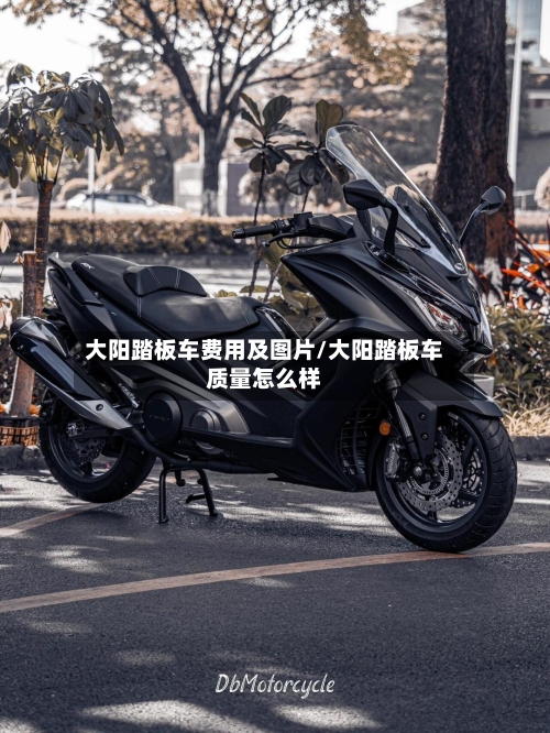 大阳踏板车费用及图片/大阳踏板车质量怎么样-第2张图片
