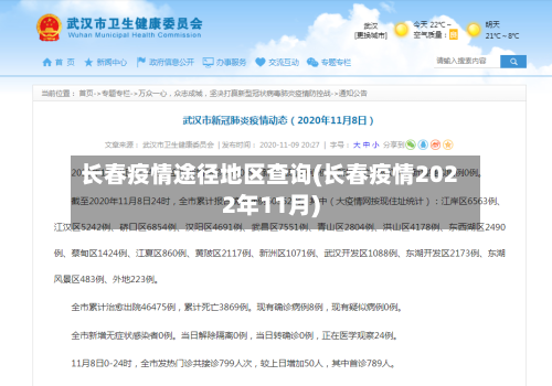 长春疫情途径地区查询(长春疫情2022年11月)-第2张图片