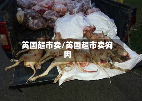 英国超市卖/英国超市卖狗肉-第2张图片